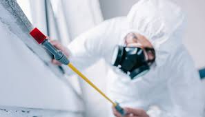 Best Fumigation Services  in Clementon, NJ